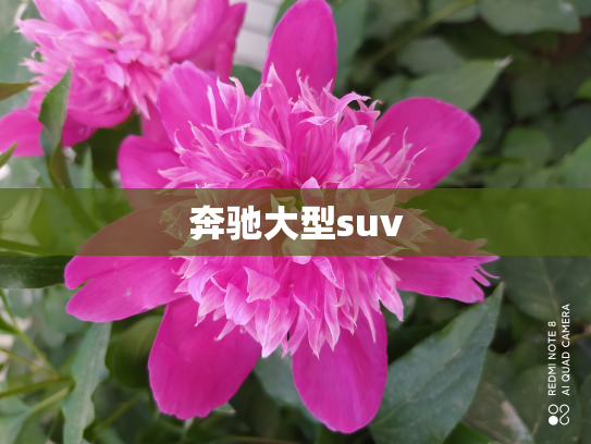 奔驰大型suv