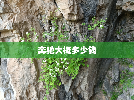 奔驰大概多少钱