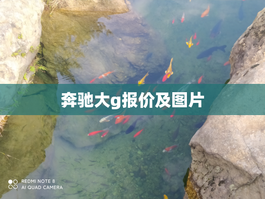 奔驰大g报价及图片