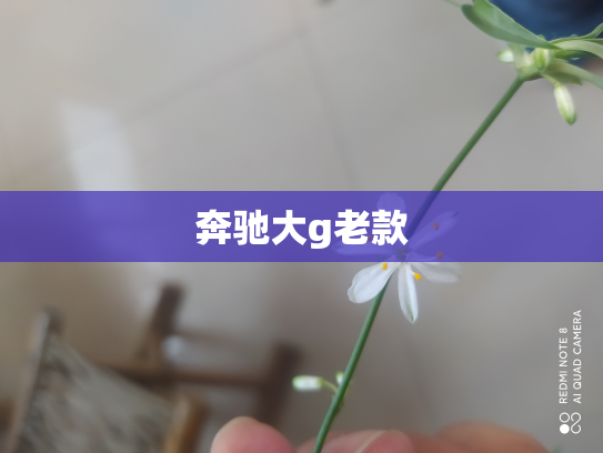 奔驰大g老款