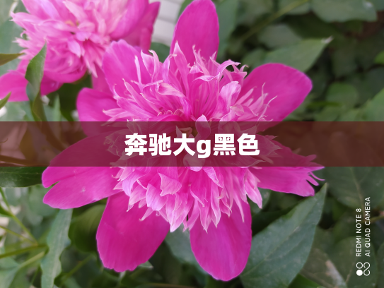 奔驰大g黑色