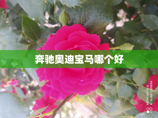 奔驰奥迪宝马哪个好