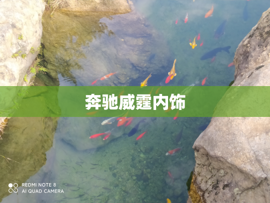 奔驰威霆内饰