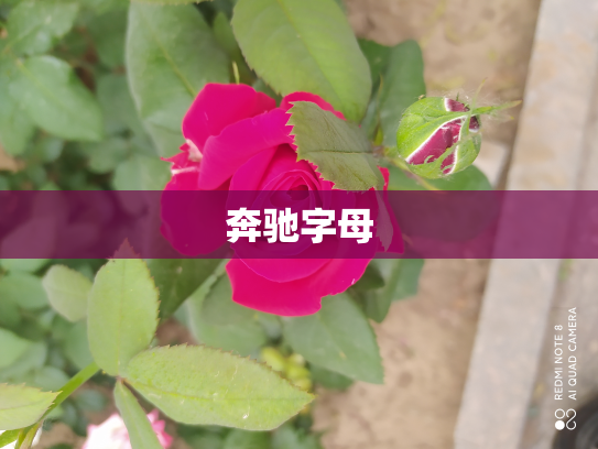 奔驰字母