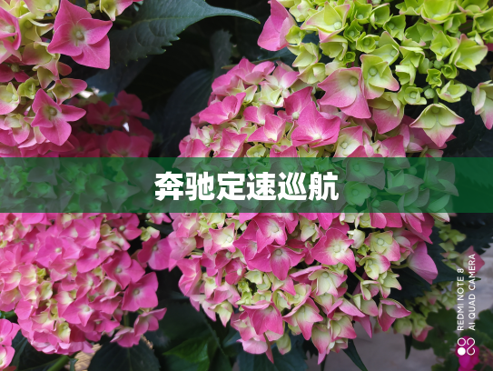 奔驰定速巡航