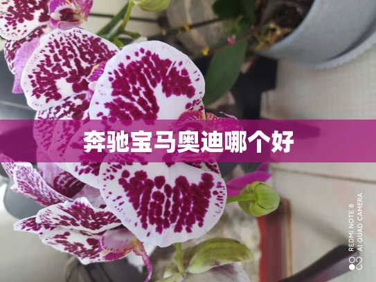 奔驰宝马奥迪哪个好