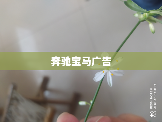 奔驰宝马广告