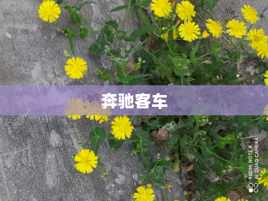 奔驰客车
