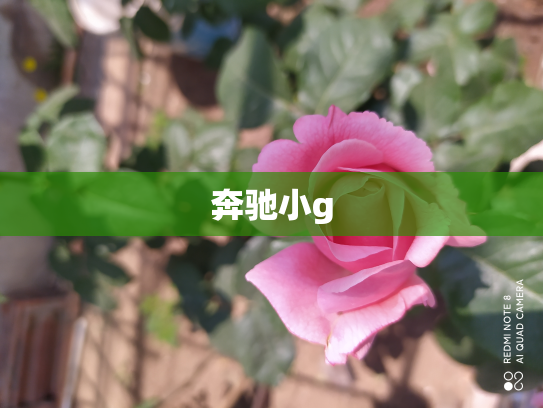奔驰小g
