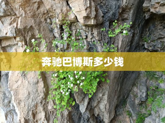 奔驰巴博斯多少钱