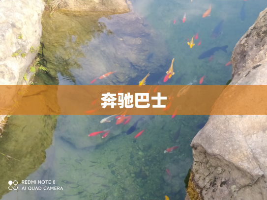 奔驰巴士