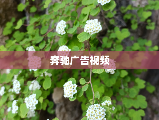 奔驰广告视频