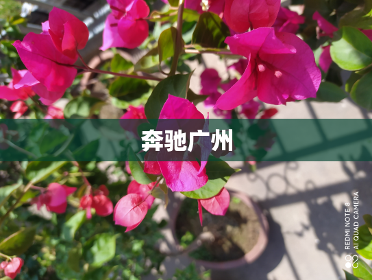 奔驰广州