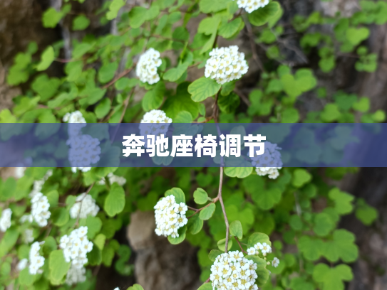 奔驰座椅调节