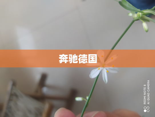 奔驰德国