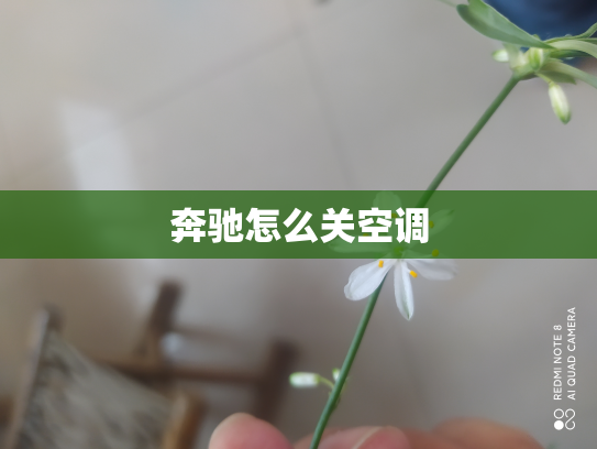 奔驰怎么关空调