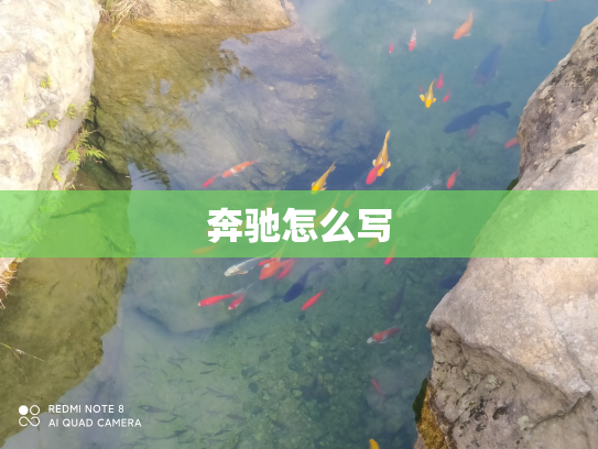 奔驰怎么写