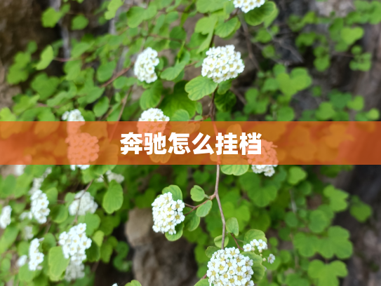 奔驰怎么挂档