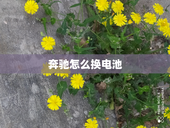 奔驰怎么换电池