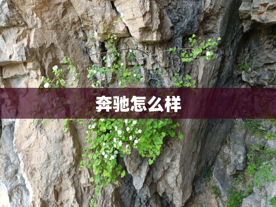 奔驰怎么样