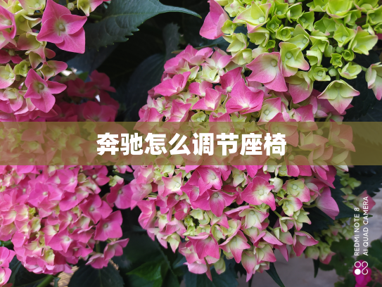 奔驰怎么调节座椅