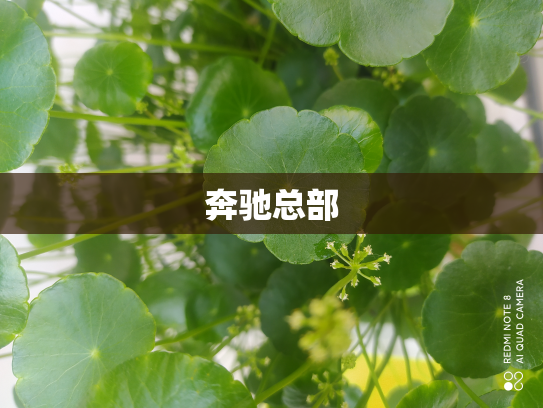 奔驰总部