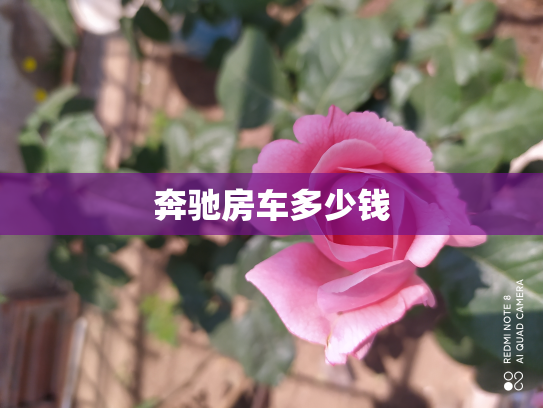 奔驰房车多少钱