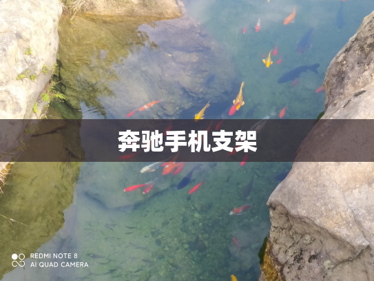 奔驰手机支架