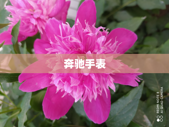 奔驰手表