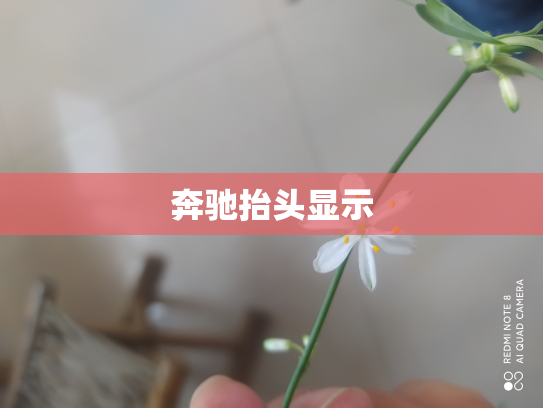 奔驰抬头显示