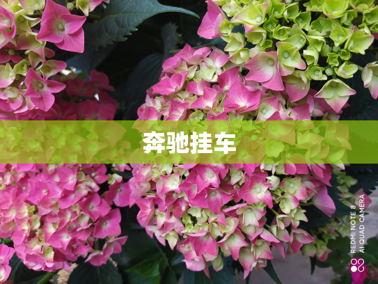 奔驰挂车