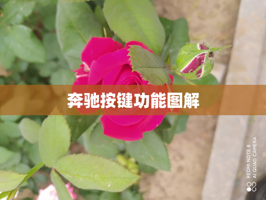 奔驰按键功能图解