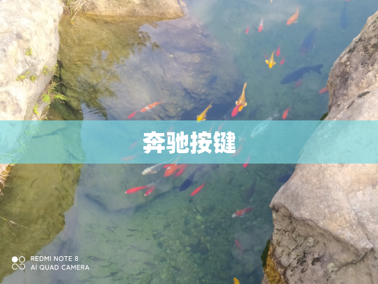奔驰按键