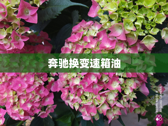 奔驰换变速箱油