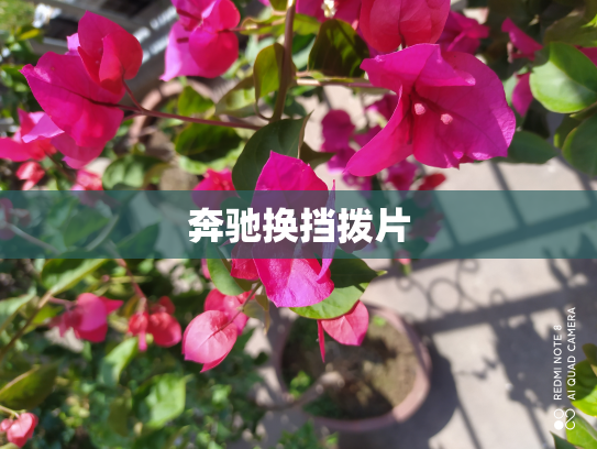 奔驰换挡拨片