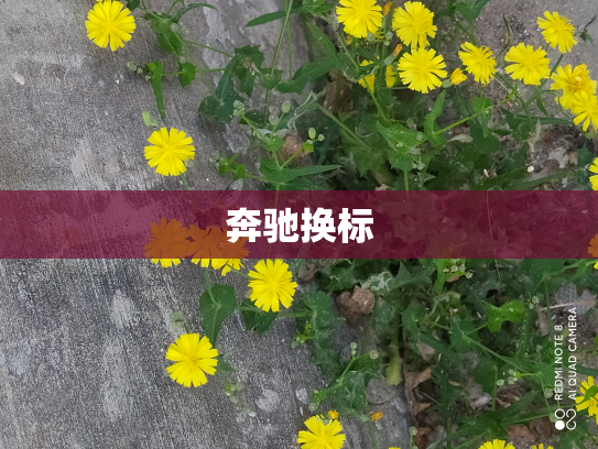 奔驰换标