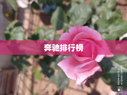 奔驰排行榜
