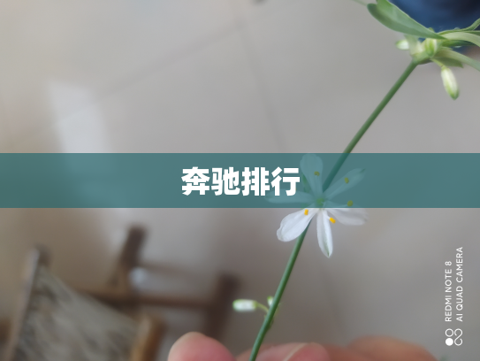 奔驰排行