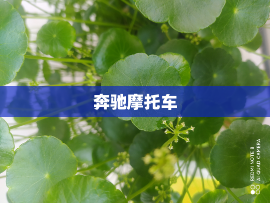 奔驰摩托车