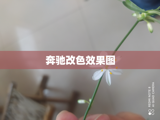 奔驰改色效果图