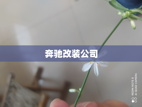 奔驰改装公司
