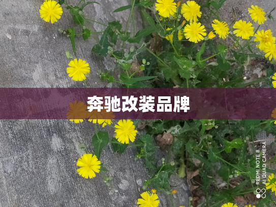 奔驰改装品牌