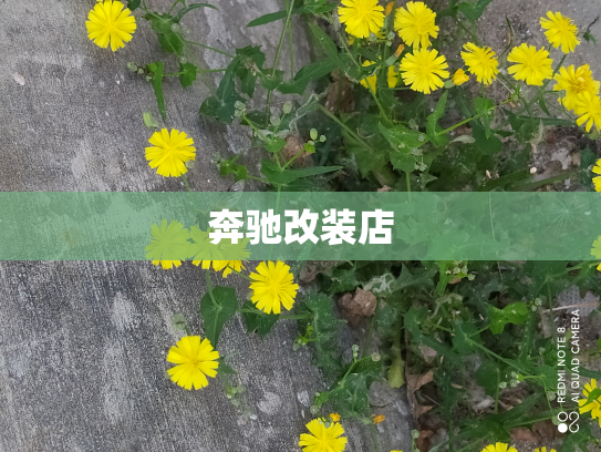 奔驰改装店