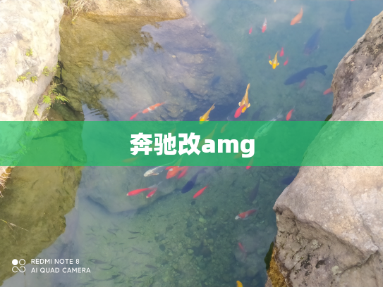 奔驰改amg
