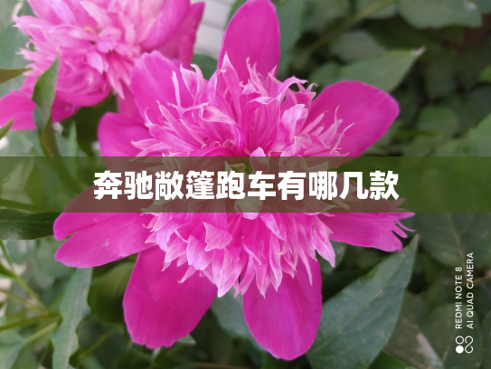 奔驰敞篷跑车有哪几款