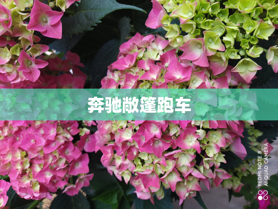 奔驰敞篷跑车