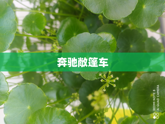 奔驰敞篷车