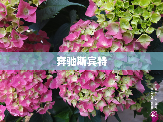 奔驰斯宾特