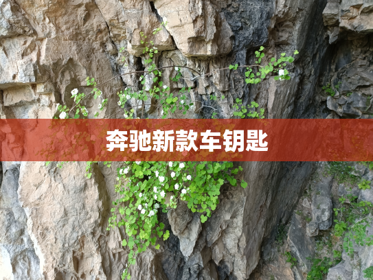 奔驰新款车钥匙