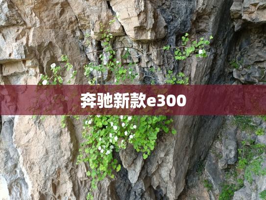 奔驰新款e300